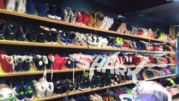 8. Shark Shop 8. Shark Shop