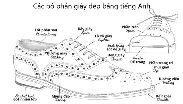 Phần Dưới (tiếng Anh: Bottom) Phần Dưới (tiếng Anh: Bottom)