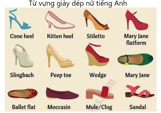 Từ Vựng Tiếng Anh Về Giày Dép Phụ Nữ Từ Vựng Tiếng Anh Về Giày Dép Phụ Nữ