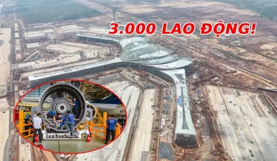 Tìm Kiếm Việc Làm Kỹ Thuật Giày Da Tại Đồng Nai: Cẩm Nang Toàn Diện
