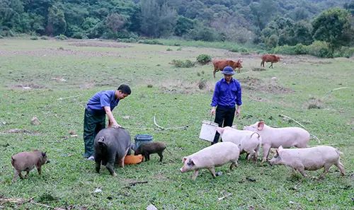 Học cụ Huỳnh Thúc Kháng về việc học