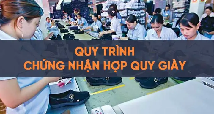 Các Bước Chứng Nhận Hợp Quy Giày